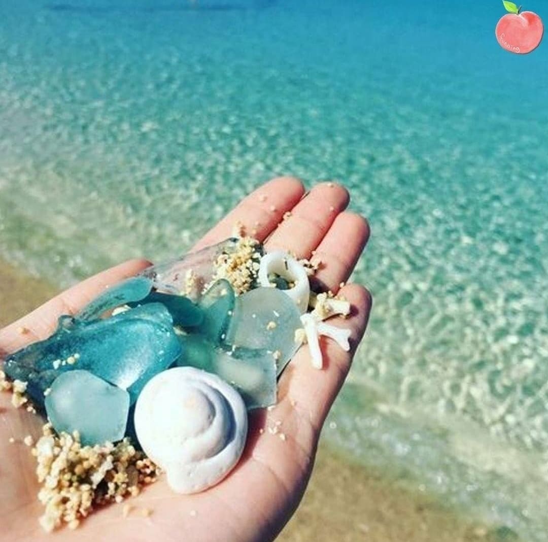 플로리다 새니벨섬 쉘비치 (소개, 사진, 지도)